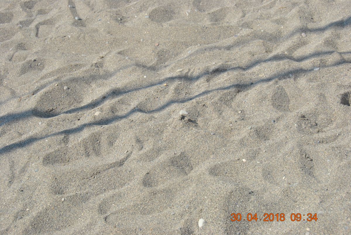 imagini hotel KEMER HOLIDAY CLUB